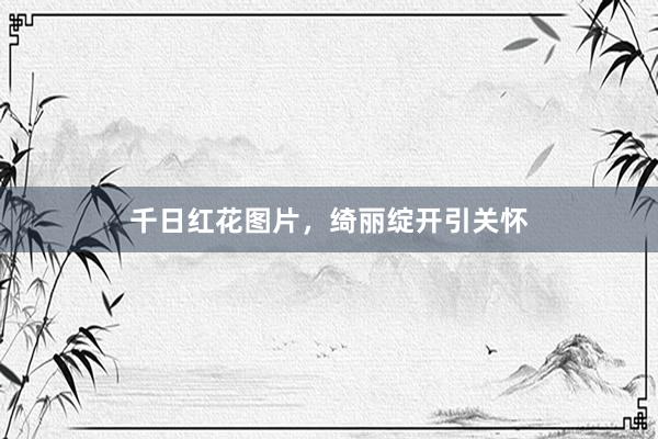 千日红花图片，绮丽绽开引关怀