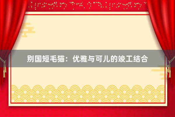 别国短毛猫：优雅与可儿的竣工结合